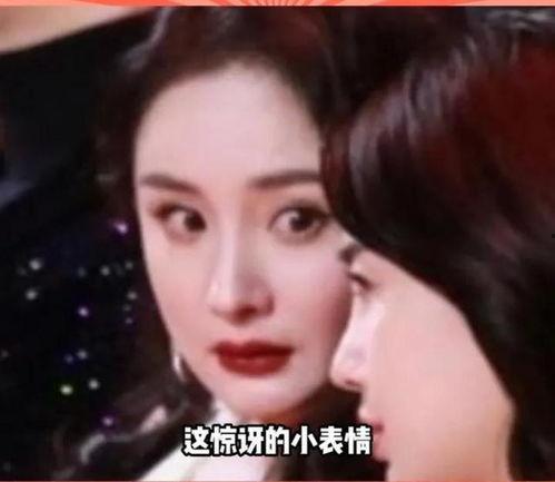 理性吃瓜娱乐圈,揭秘娱乐圈幕后真相